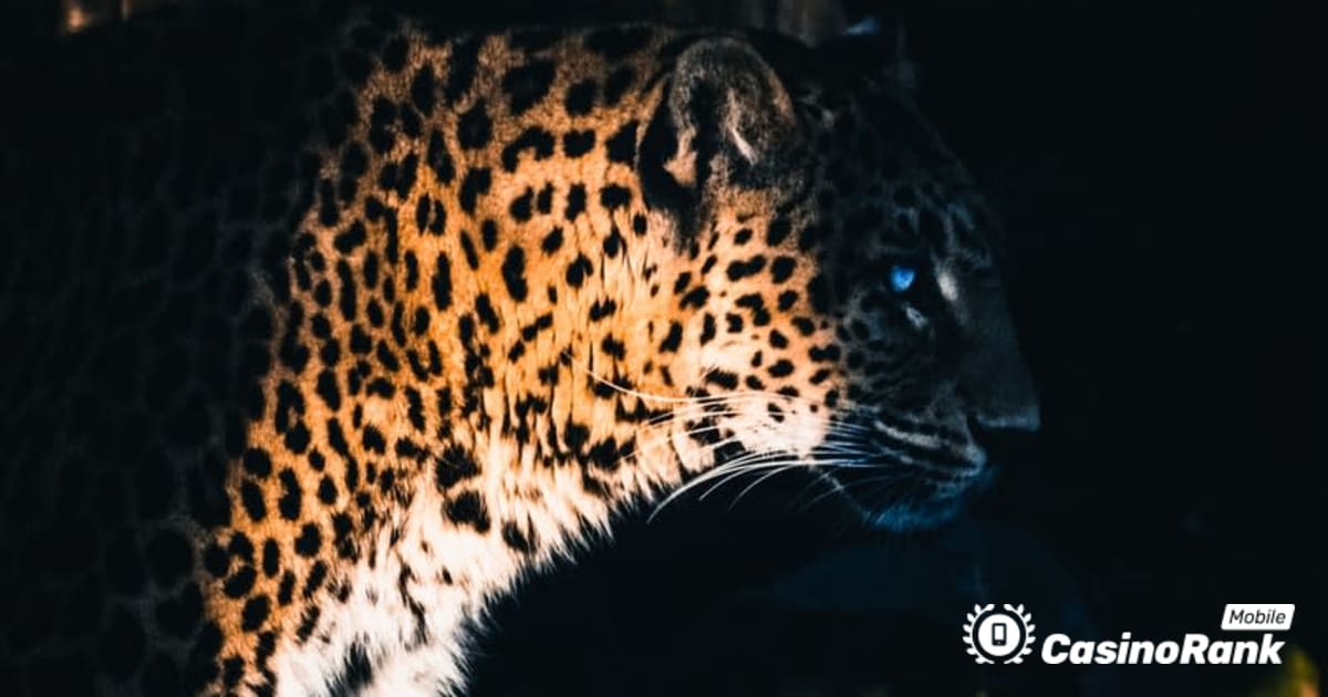 Το Yggdrasil Partners ReelPlay θα κυκλοφορήσει το Jaguar SuperWays από το Bad Dingo